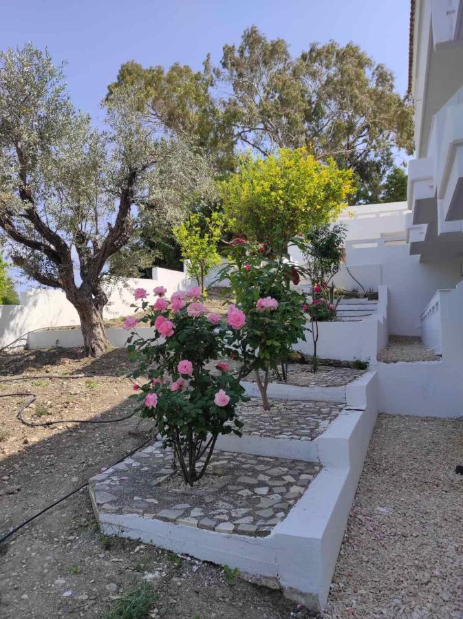 Arocaria - Faliraki Peaceful Apartments Экстерьер фото