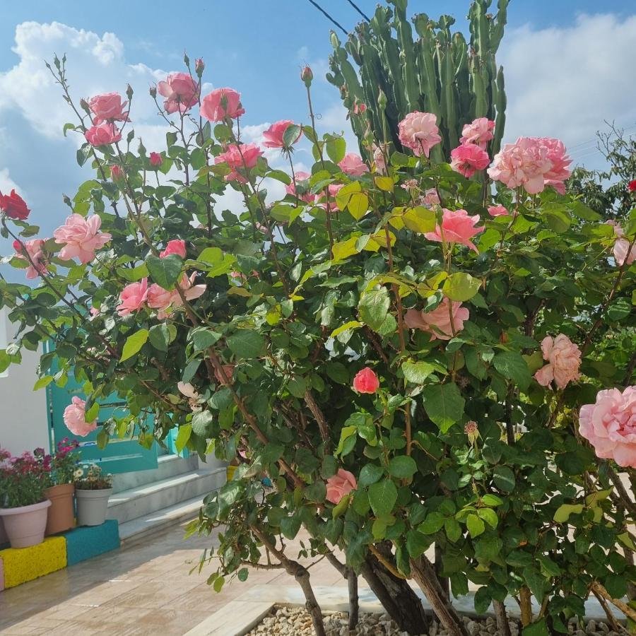 Arocaria - Faliraki Peaceful Apartments Экстерьер фото